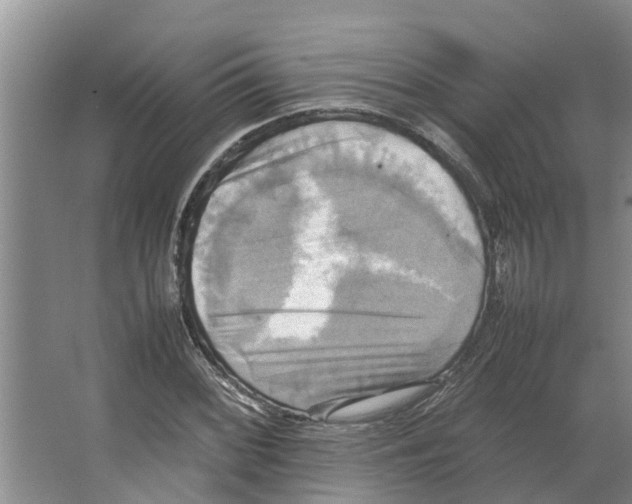 X0000066521068200604141808