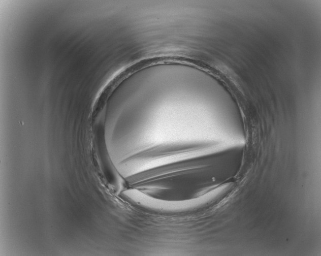 X0000066521069200604141808