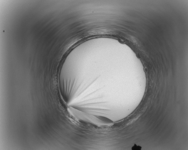 X0000066521073200604141808