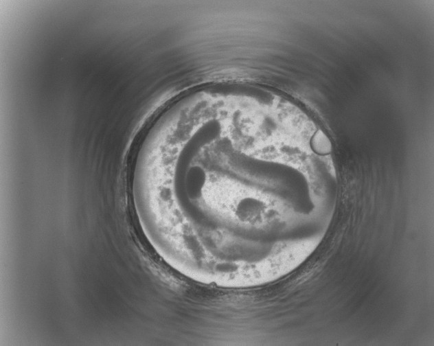 X0000066521075200604141808