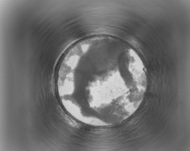 X0000066521076200604141808