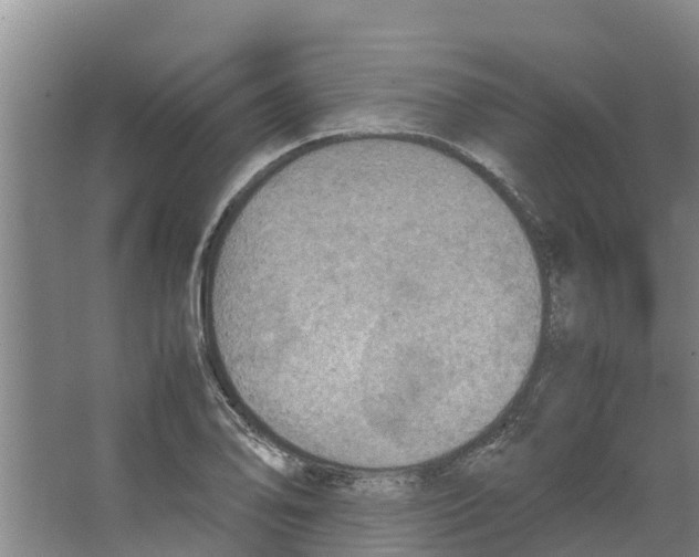 X0000066521078200604141808