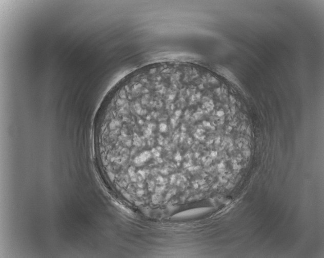 X0000066521079200604141808