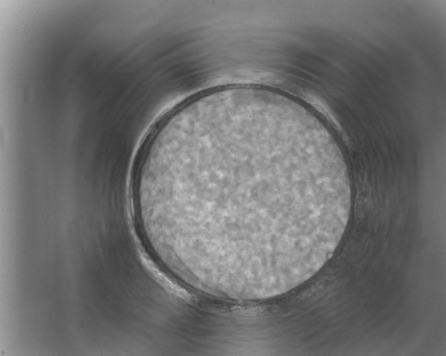 X0000066521080200604141808