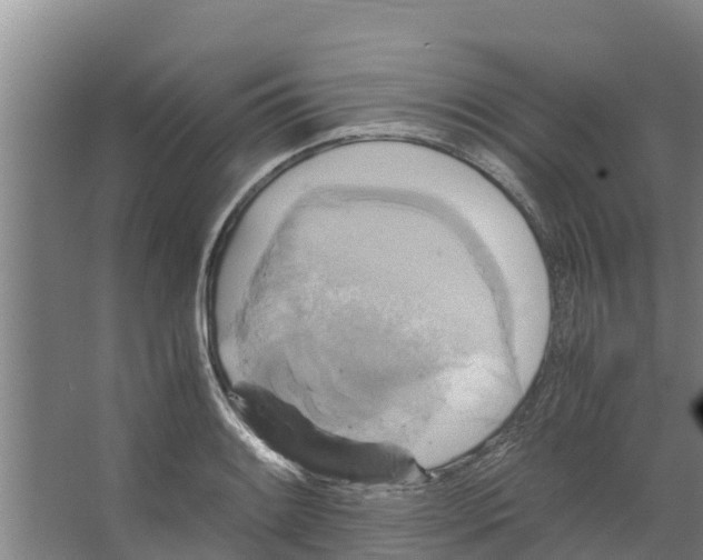 X0000066521084200604141808