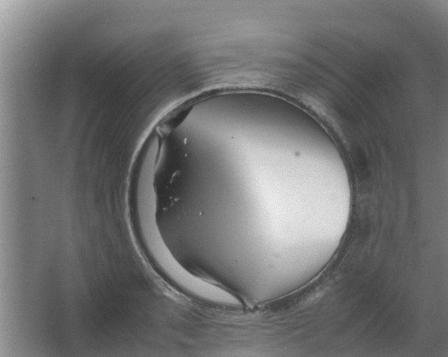 X0000066521085200604141808