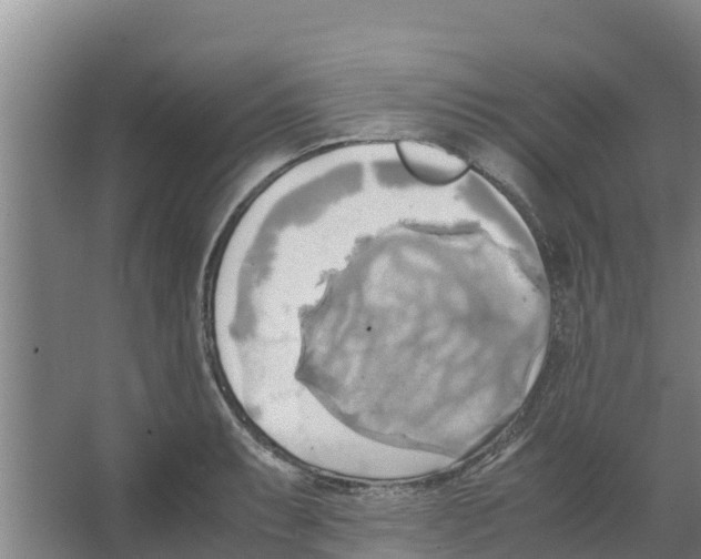 X0000066521087200604141808