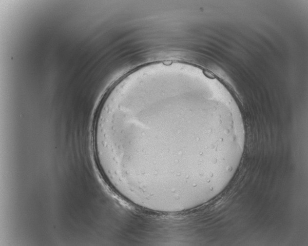 X0000066521088200604141808