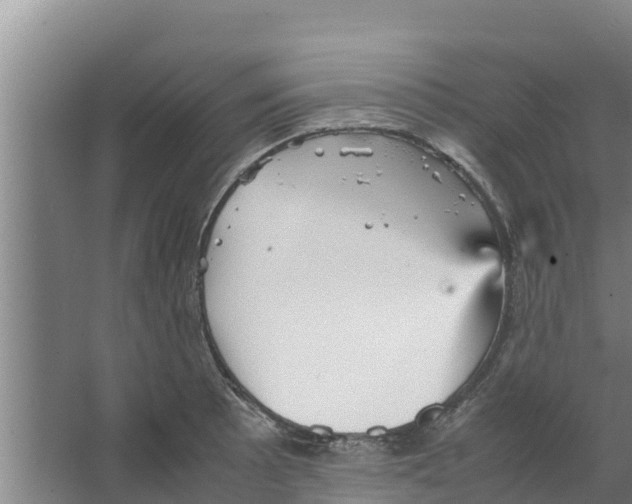 X0000066521089200604141808