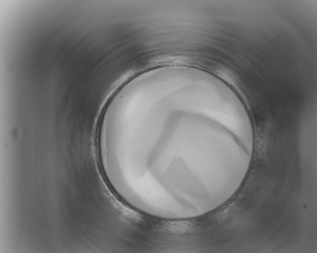 X0000066521090200604141807