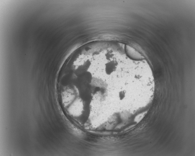 X0000066521091200604141807