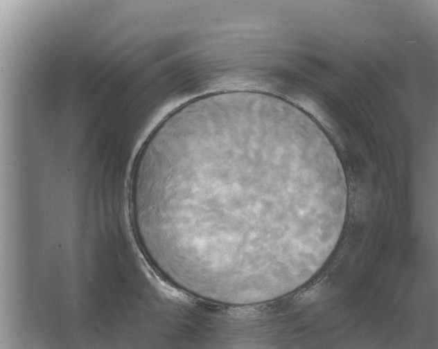 X0000066521094200604141807