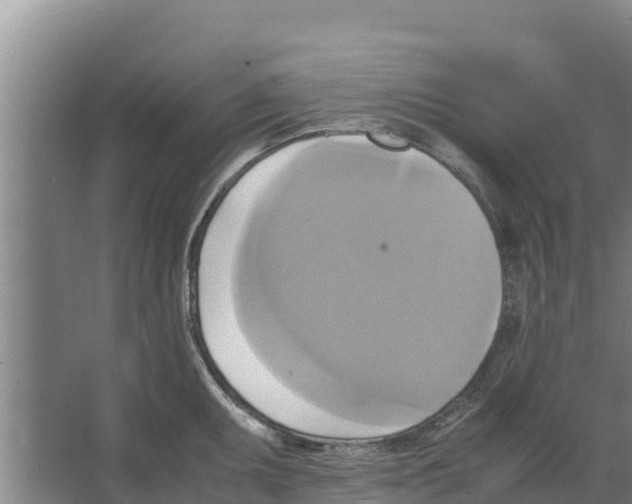 X0000066521095200604141807