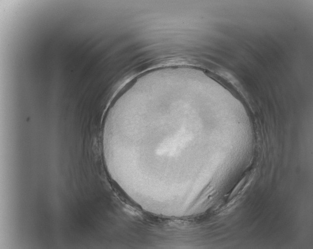 X0000066521097200604141807