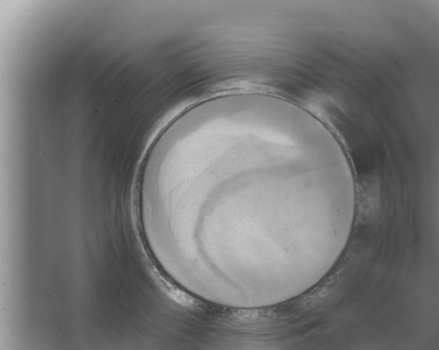 X0000066521098200604141807