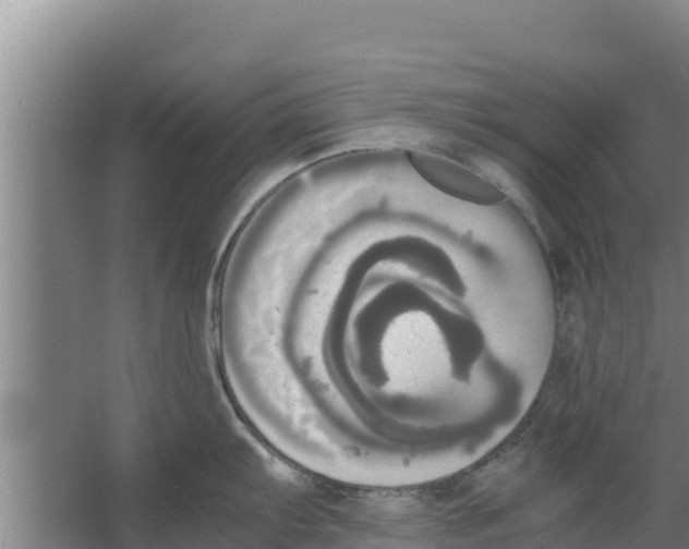 X0000066521103200604141807