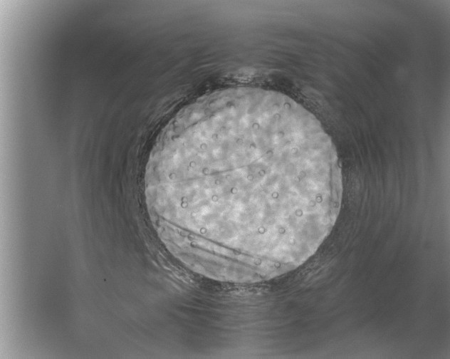 X0000066521105200604141806