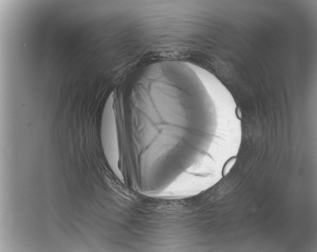 X0000066521106200604141806