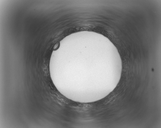 X0000066521109200604141807