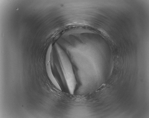 X0000066521110200604141807