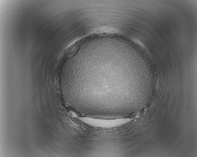 X0000066521112200604141807