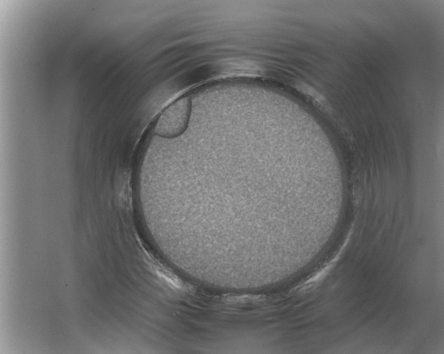 X0000066521113200604141807