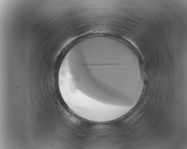 X0000066521115200604141807