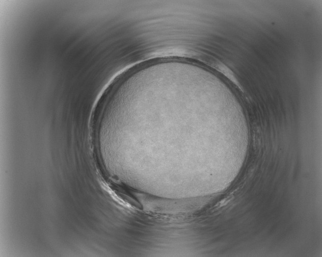 X0000066521116200604141807