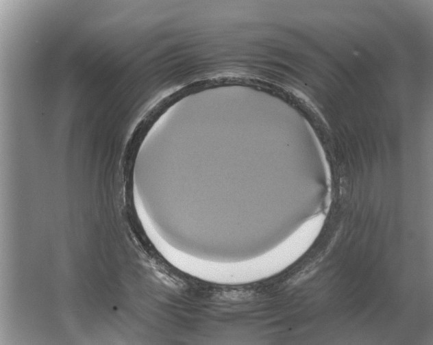 X0000066521117200604141807