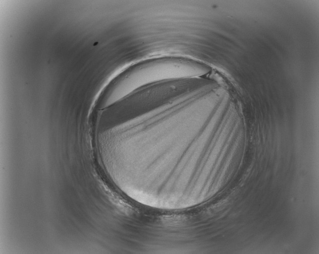 X0000066521118200604141807