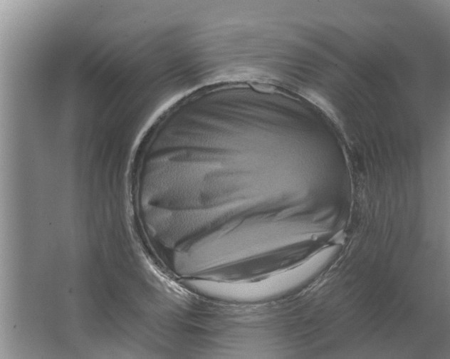 X0000066521120200604141807