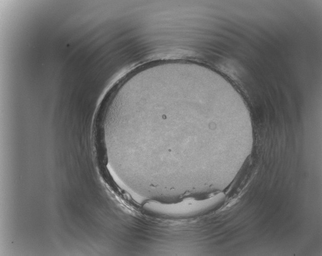 X0000066521122200604141807