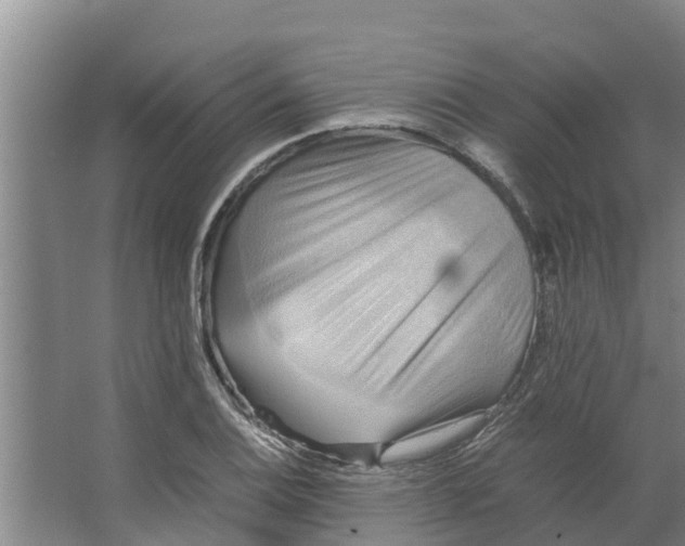 X0000066521124200604141807