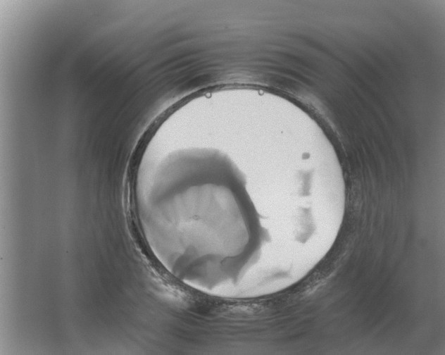 X0000066521125200604141807