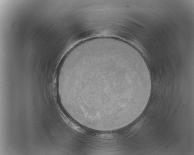 X0000066521126200604141807