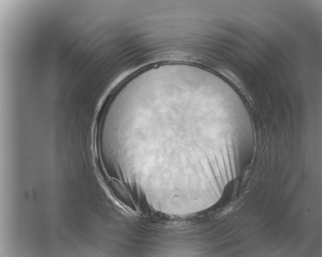 X0000066521128200604141807