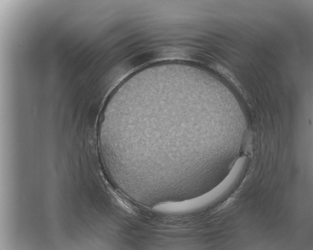 X0000066521129200604141807