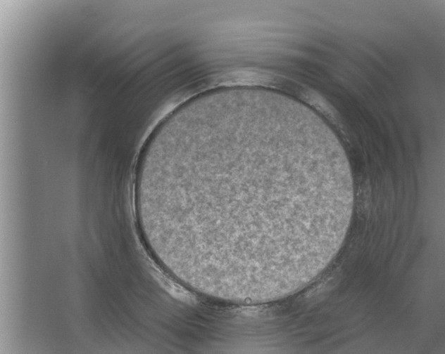 X0000066521130200604141807