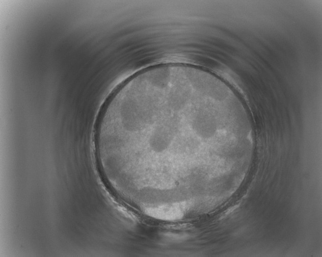 X0000066521133200604141807