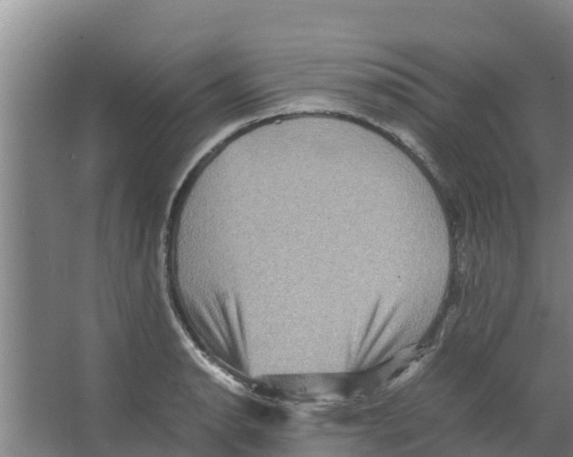 X0000066521134200604141807