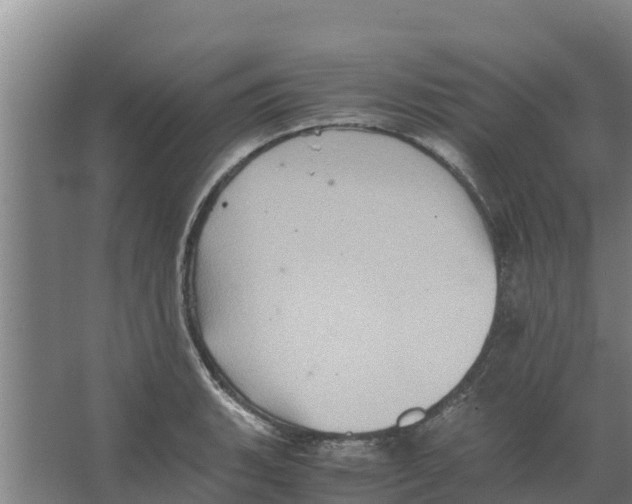 X0000066521135200604141807