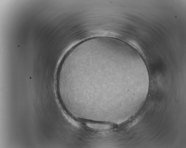 X0000066521136200604141807