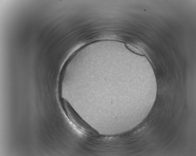 X0000066521139200604141807