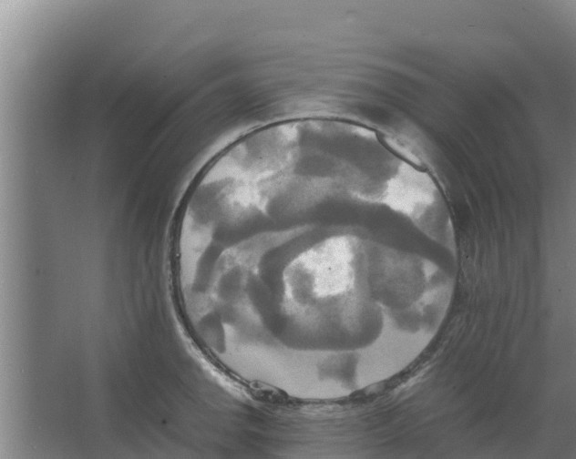 X0000066521142200604141807