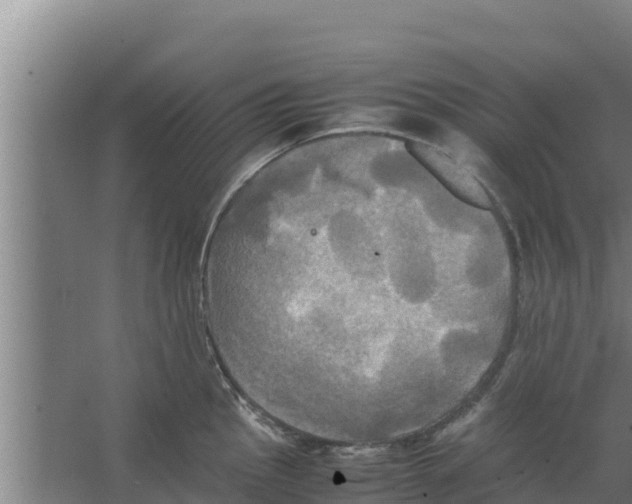 X0000066521145200604141807