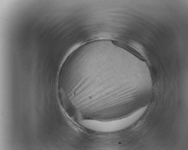 X0000066521146200604141807