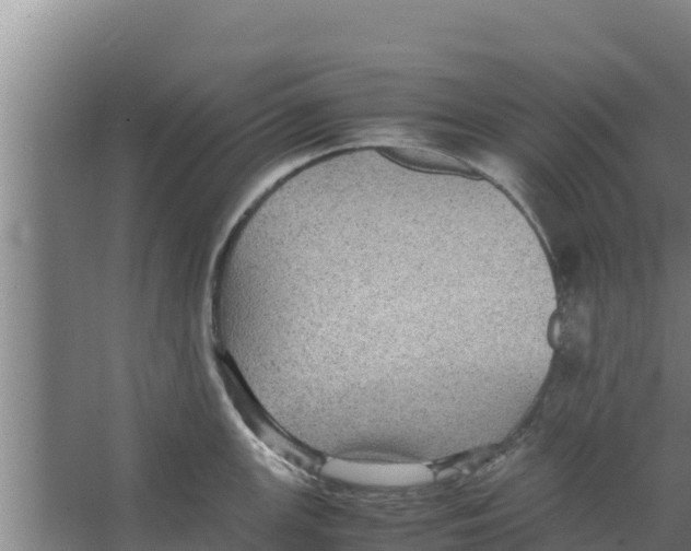 X0000066521147200604141807