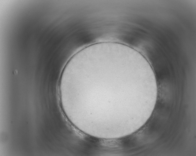 X0000066521150200604141807