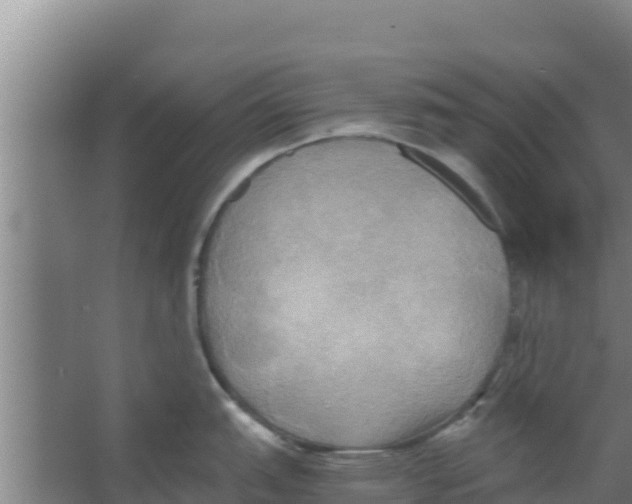 X0000066521151200604141807