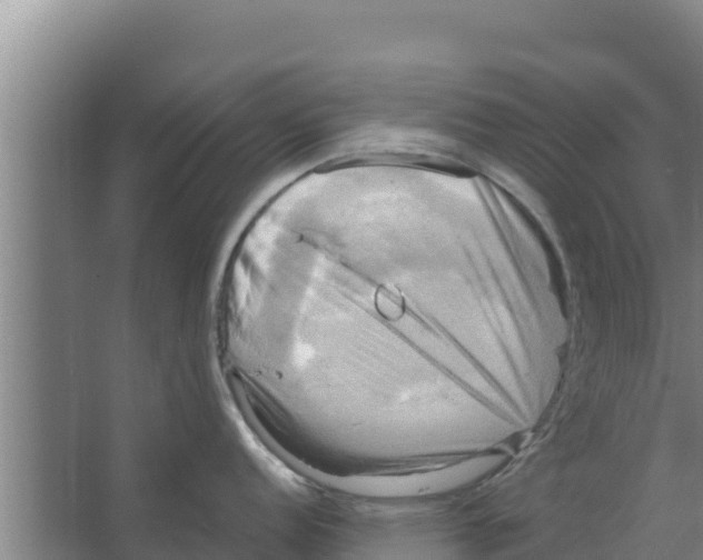 X0000066521152200604141807